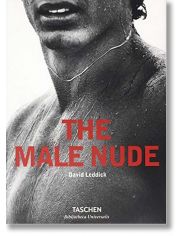 Male Nude