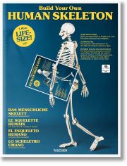 Skeleton