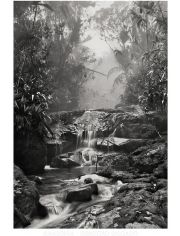 Sebastiаo Salgado. Amazônia. Poster ‘Creek’