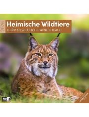 Стенен календар Ackermann German Wildlife 2026 – Диви животни в Германия