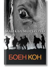 Боен кон