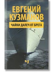 Чайки далеч от брега