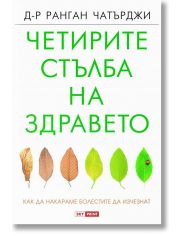 Четирите стълба на здравето