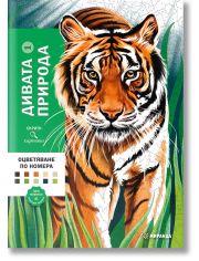 Дивата природа, оцветяване по номера