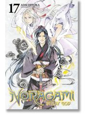 Noragami: Stray God, Vol. 17