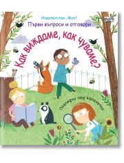 Първи въпроси и отговори: Как виждаме, как чуваме?