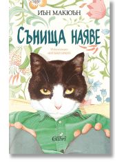 Сънища наяве