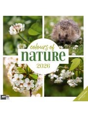 Стенен календар Ackermann Colours of Nature 2026 – Цветове от природата
