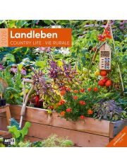 Стенен календар Ackermann Country Life 2026 – Селски живот