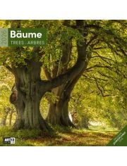 Стенен календар Ackermann Trees 2026 – Дървета