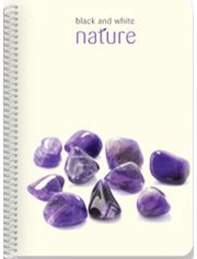 Тетрадка Black & White Nature A4 със спирала и 4 теми, 200 листа - широки редове