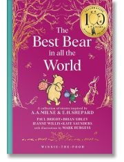 The Best Bear in All the World