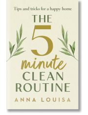 The 5 Minute Clean Routine