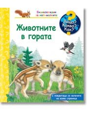 Защо? Какво? Как? Животните в гората
