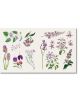 The Sticker Treasury of Blooms and Butterflies - Smith Street Books - Жена, Момиче - Smith Street Books - 9781923049901-3-thumb