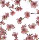 Картичка Japanese Cherry Blossom