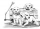 Комплект за лесно рисуване с моливи Royal - Кученца в количка, графика с размер 39 х 29 см.