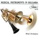 Музикалните инструменти в България: Духов оркестър (CD)