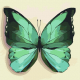 Комплект за лесно рисуване с акрилни бои Ideyka - Зелена пеперуда, 25 х 25 см.