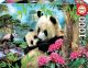 Пъзел Educa: Семейство панди, 1000 части