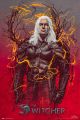 Голям плакат The Witcher 2 Geralt Of Rivia