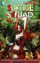 Suicide Squad Vol. 1: Kicked in the Teeth (The New