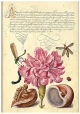 Тефтер Paperblanks - Pink Carnation, мека корица, 12 х 17.5 см.