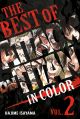 The Best of Attack on Titan: In Color, Vol. 2