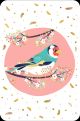 Картичка Editor: Цветно птиче