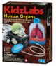 Детска лаборатория 4M - Човешките органи