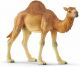 Фигурка Schleich: Едногърба камила