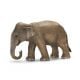 Индийски слон, женски