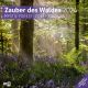 Календар Ackermann Zauber des Waldes - Магията на гората, 2024 година