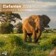 Календар Ackermann Elefanten - Слонове, 2024 година