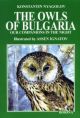 Owls Of Bulgaria: Our Companions In The Night