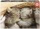 Пъзел Educa: Сладки котенца, 500 части
