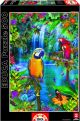 Пъзел Educa: Тропически птици, 500 части