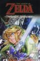 The Legend of Zelda Twilight Princess, Vol. 9