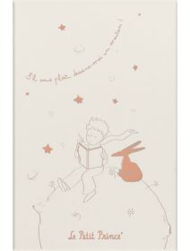 Тефтер и планер Moleskine Limited Edition Le Petit Prince 80th anniversary