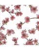 Картичка Japanese Cherry Blossom - Busquets - Busquets Gruart - Жена - 0402318293-thumb