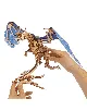 Човек държи 3D дървен пъзел Ugears - Дракон в буря, 320 части, с шарнирни стави и големи сини крила, монтиран на дървена основа.-2-thumb