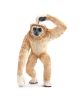 Фигурка Schleich: Гибон - 685984 - Schleich - 4005086147171-thumb