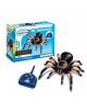 RC Tarantula - Trends UK Ltd - 5060062142976-thumb