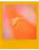 Филм Polaroid Color for I-Type - Polaroid - Polaroid - 9120096773785-4-thumb