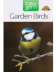 Garden Birds - 9780007176144-thumb