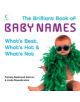 The Brilliant Book of Baby Names - 9780007258895-thumb