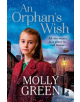 An Orphan's Wish - 9780008239008-thumb