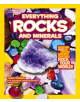 Everything: Rocks and Minerals - 9780008267834-thumb