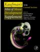 Kaufman's Atlas of Mouse Development Supplement - 9780128000434-thumb