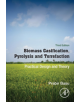 Biomass Gasification, Pyrolysis and Torrefaction - 9780128129920-thumb